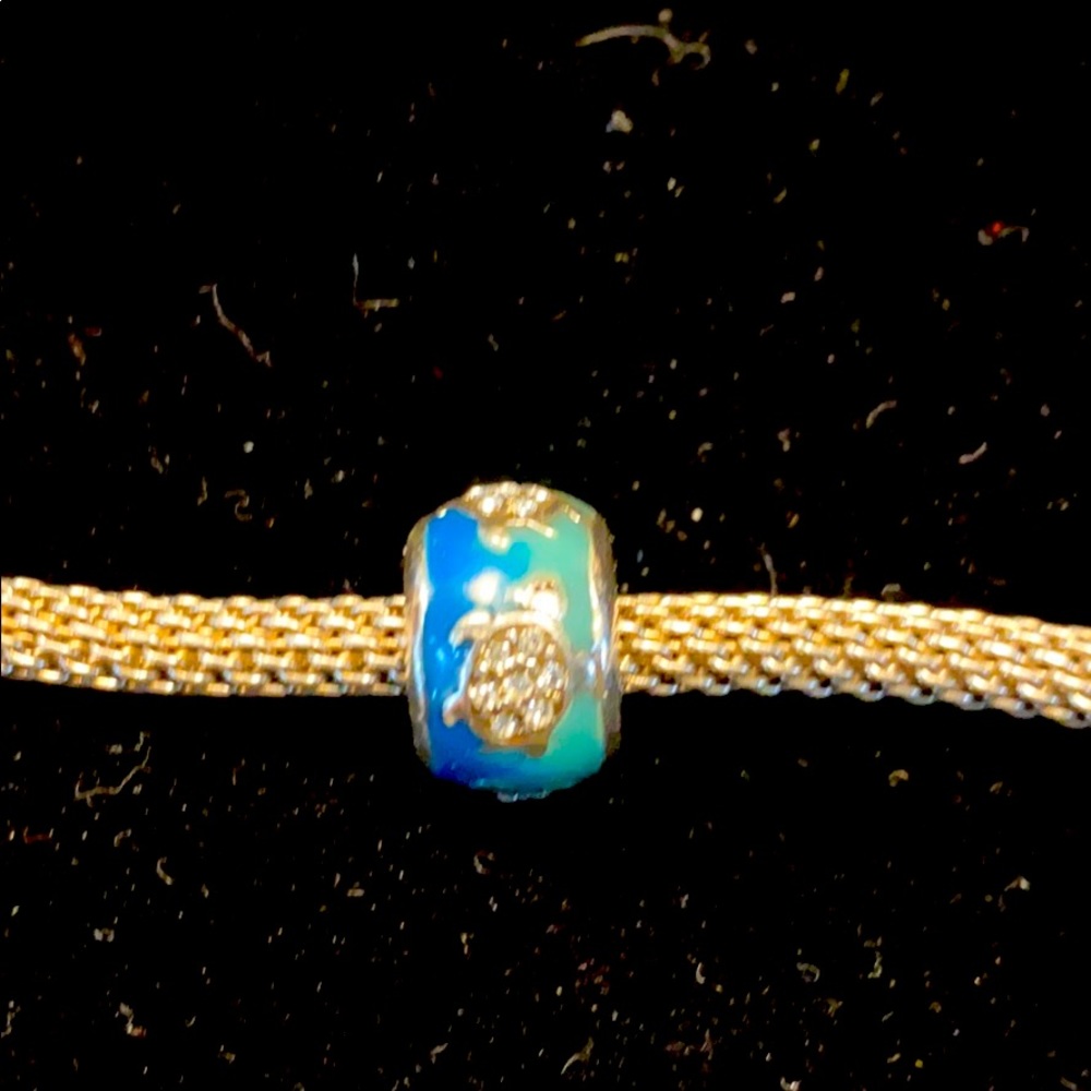 Brighton Turtle Spacer